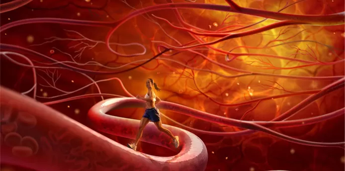 Капіляри – корінь здоров'я