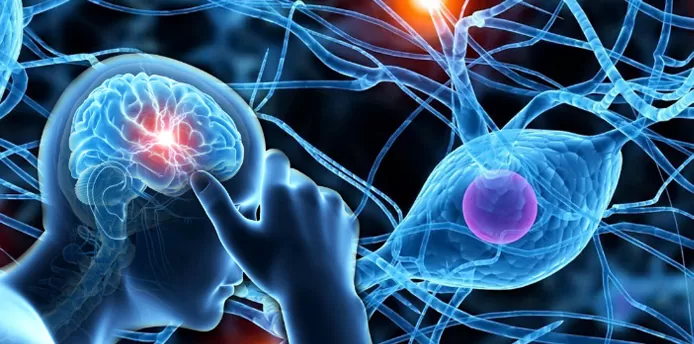 Профілактика інсульту — захист мозку та зміцнення судин